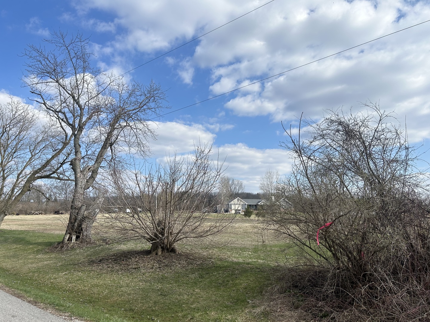 Lot 17-18 Harding Avenue Richmond, IL 60071 - Photo 4 of 9 a view of a yard