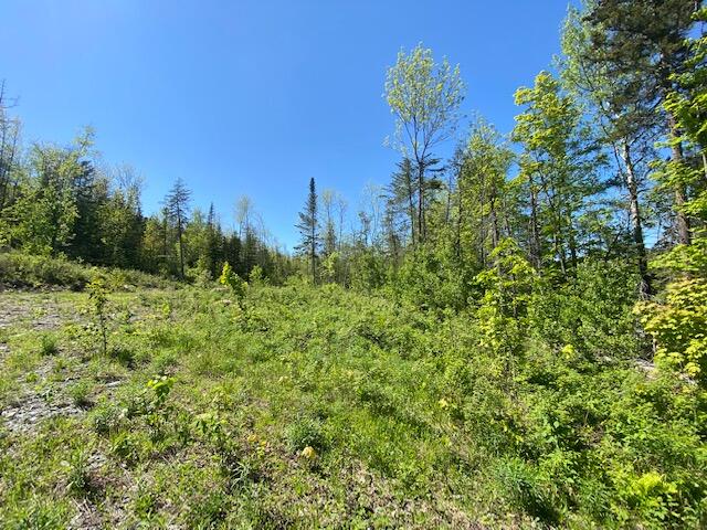 L3 Greenville Road Monson, ME 04464 - Photo 1 of 5 IMG_5154