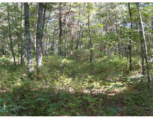 82 Chopmist Hill Road Glocester, RI 02814 - Photo 7 of 8 Land/Lot.