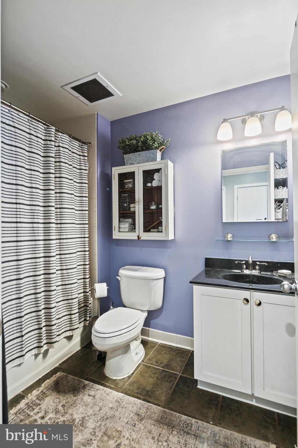 1211 Light Street, Unit 308 Baltimore, MD 21230 - Photo 19 of 29 a bathroom with a granite countertop toilet a sink a mirror and a shower
