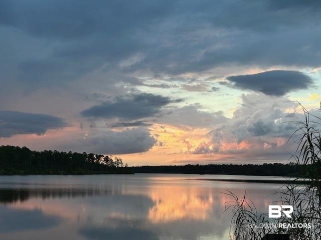 17341 Cabin Road Loxley, AL 36551 - Photo 43 of 49 Water view