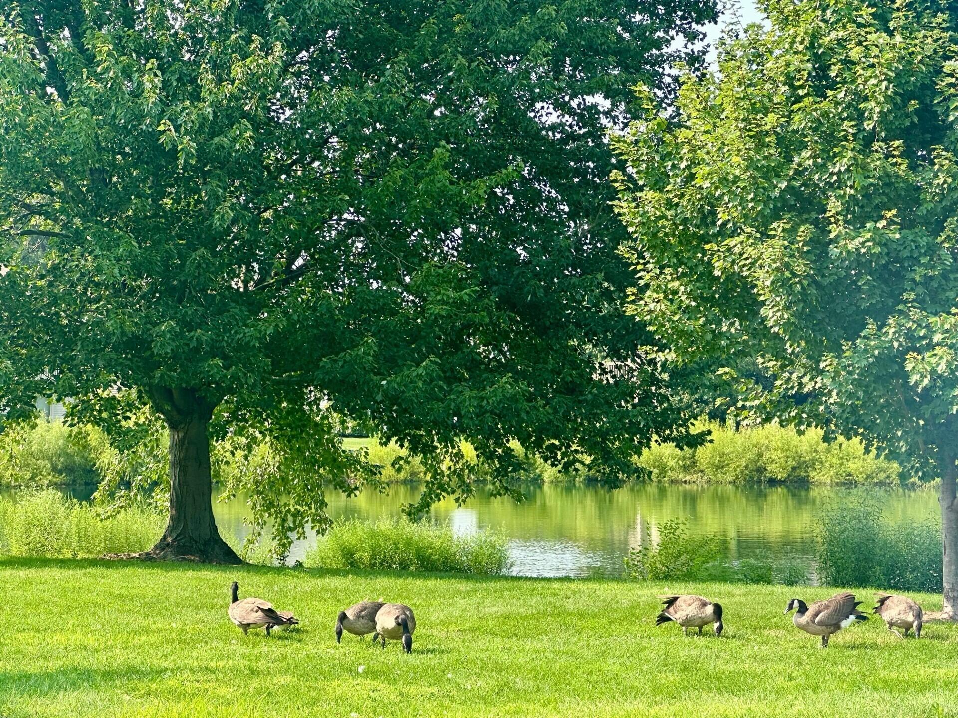 1079 Millpond Road, Unit A Valparaiso, IN 46385 - Photo 3 of 14 a view of a lake