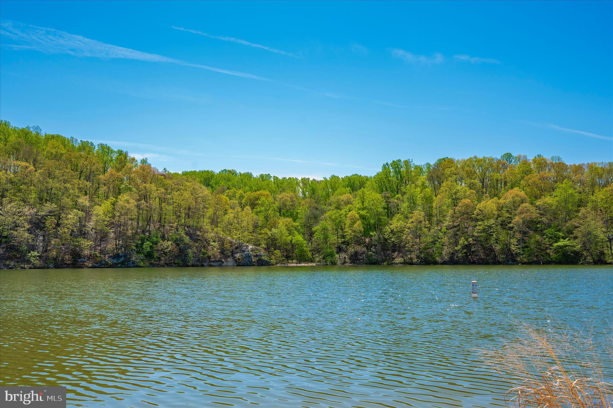 6596 East Lakeridge Road New Market, MD 21774 - Photo 104 of 131 Coldstream Beach