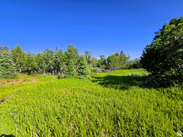 2 Whispering Pines Road, Unit 2 Mount Pleasant, UT 84647 - Photo 4 of 12