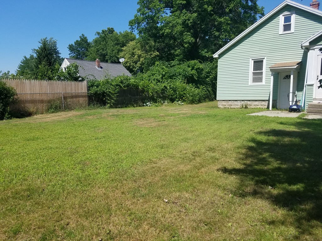 52 Stuart Street Springfield, MA 01109 - Photo 3 of 14 a view of a backyard with plants and large tree