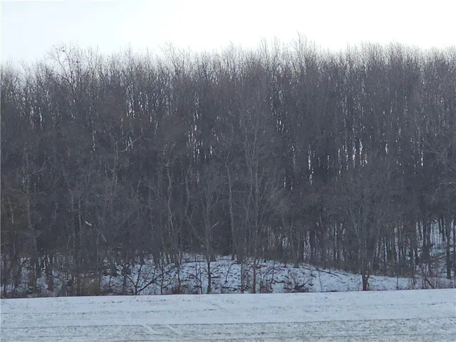 $699,000 | 0 Concord Church Road, Unit 588, Beaver Falls, PA 15010