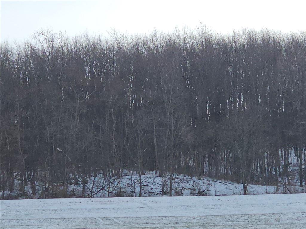 0 Concord Church Road, Unit 588 Beaver Falls, PA 15010 - Photo 1 of 3