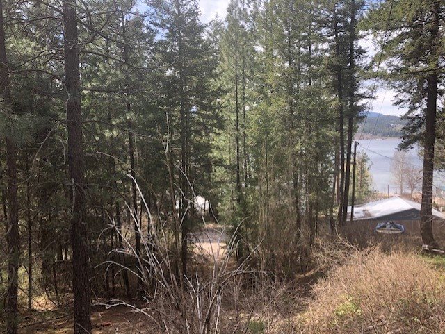 0 Darrin Road Valley, WA 99181 - Photo 1 of 1
