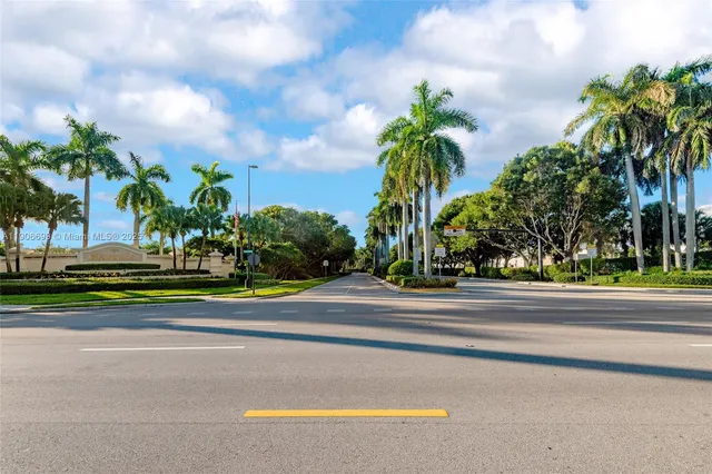 a palm plant sitting on a side of a road