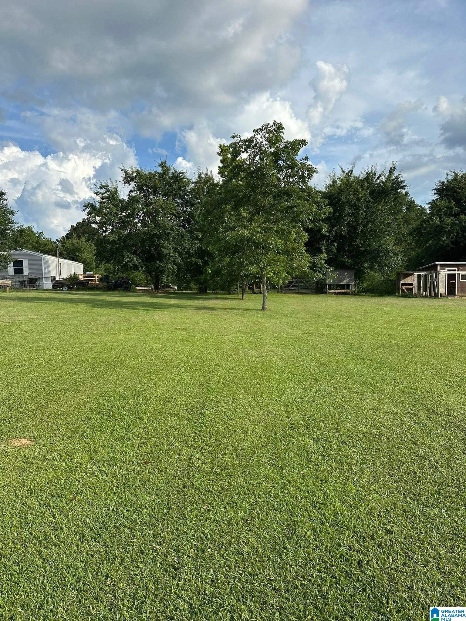 777 North Horton Road Wilsonville, AL 35186 - Photo 18 of 23