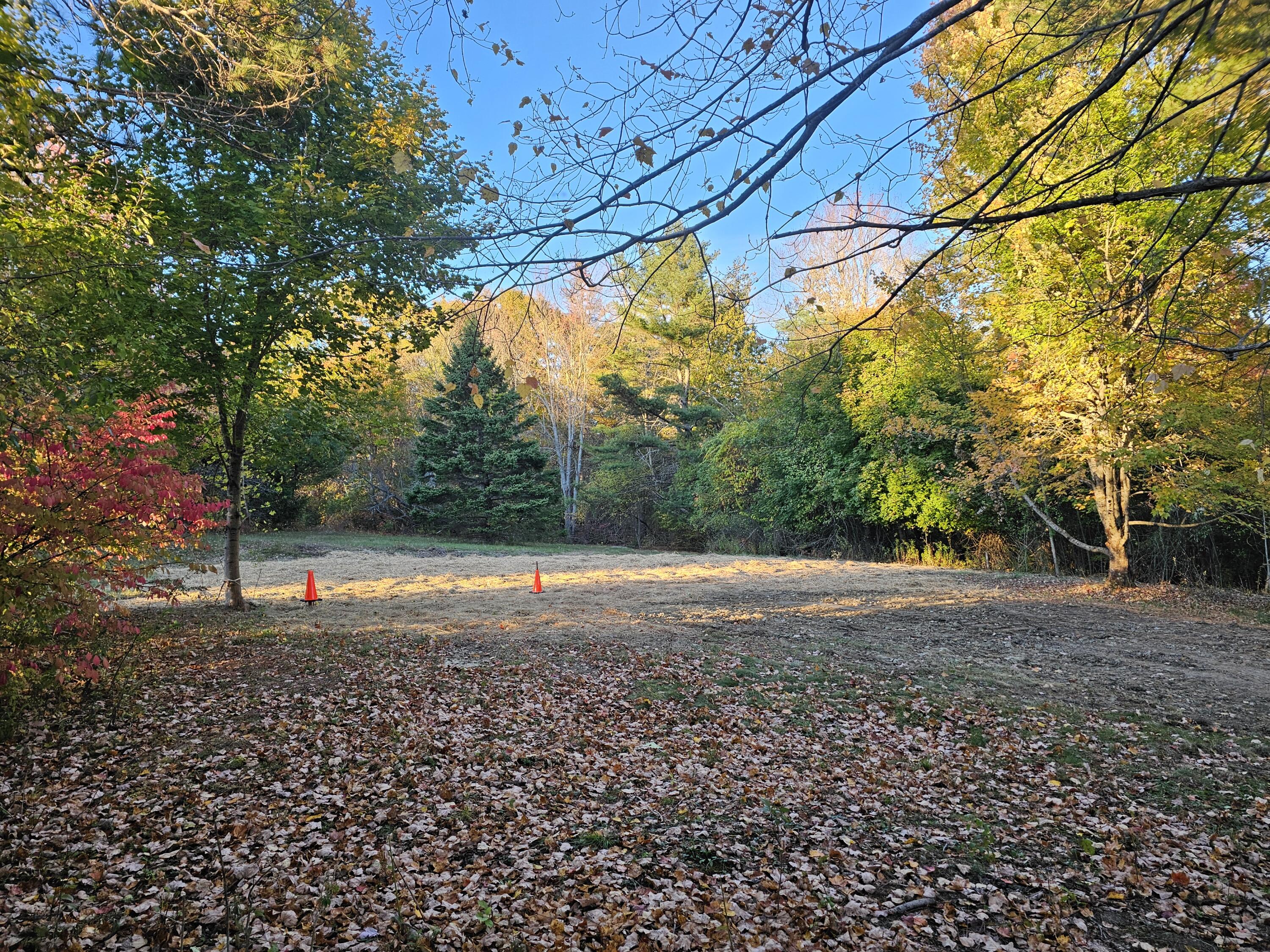 Cleared Lot 2