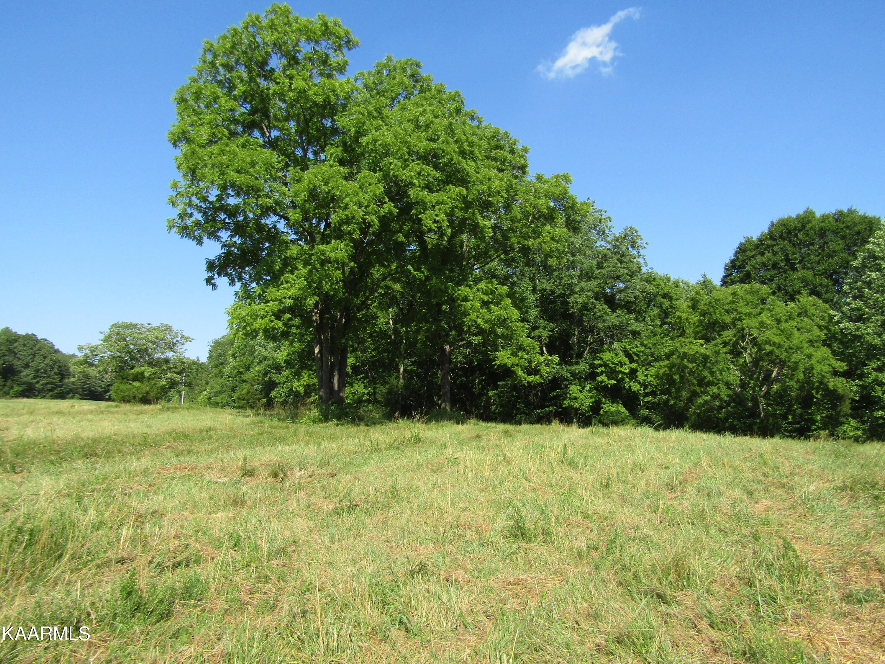 Lot 23 Arrowhead Road, Unit RD Moss, TN 38575 - Photo 14 of 30 IMG_8073
