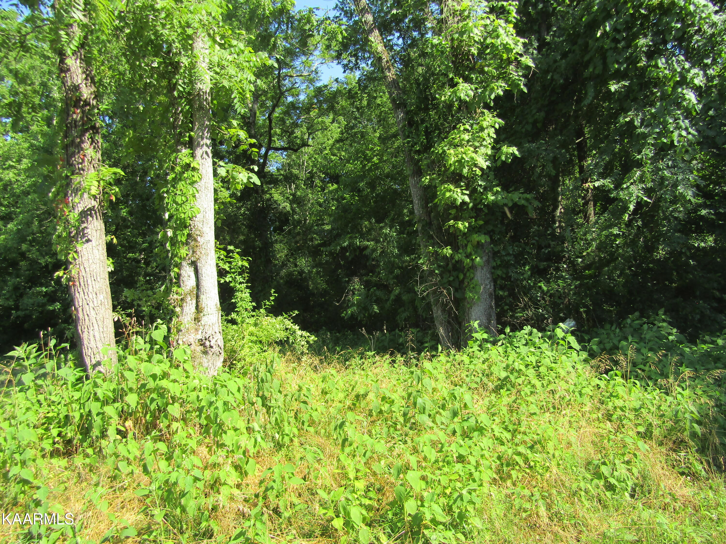 Lot 23 Arrowhead Road, Unit RD Moss, TN 38575 - Photo 15 of 30 IMG_8074