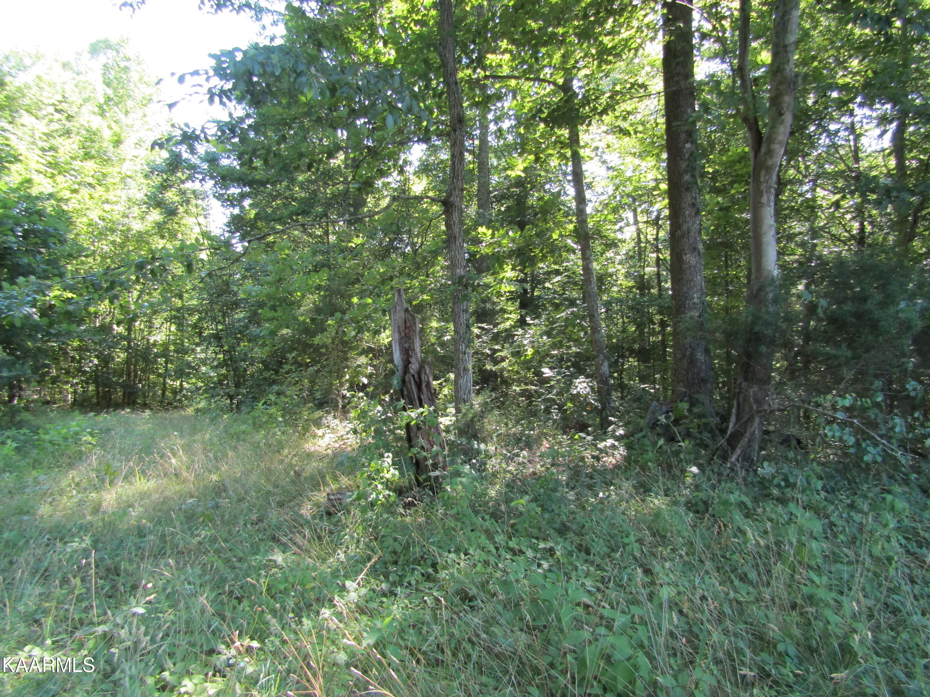 Lot 23 Arrowhead Road, Unit RD Moss, TN 38575 - Photo 16 of 30 IMG_8075