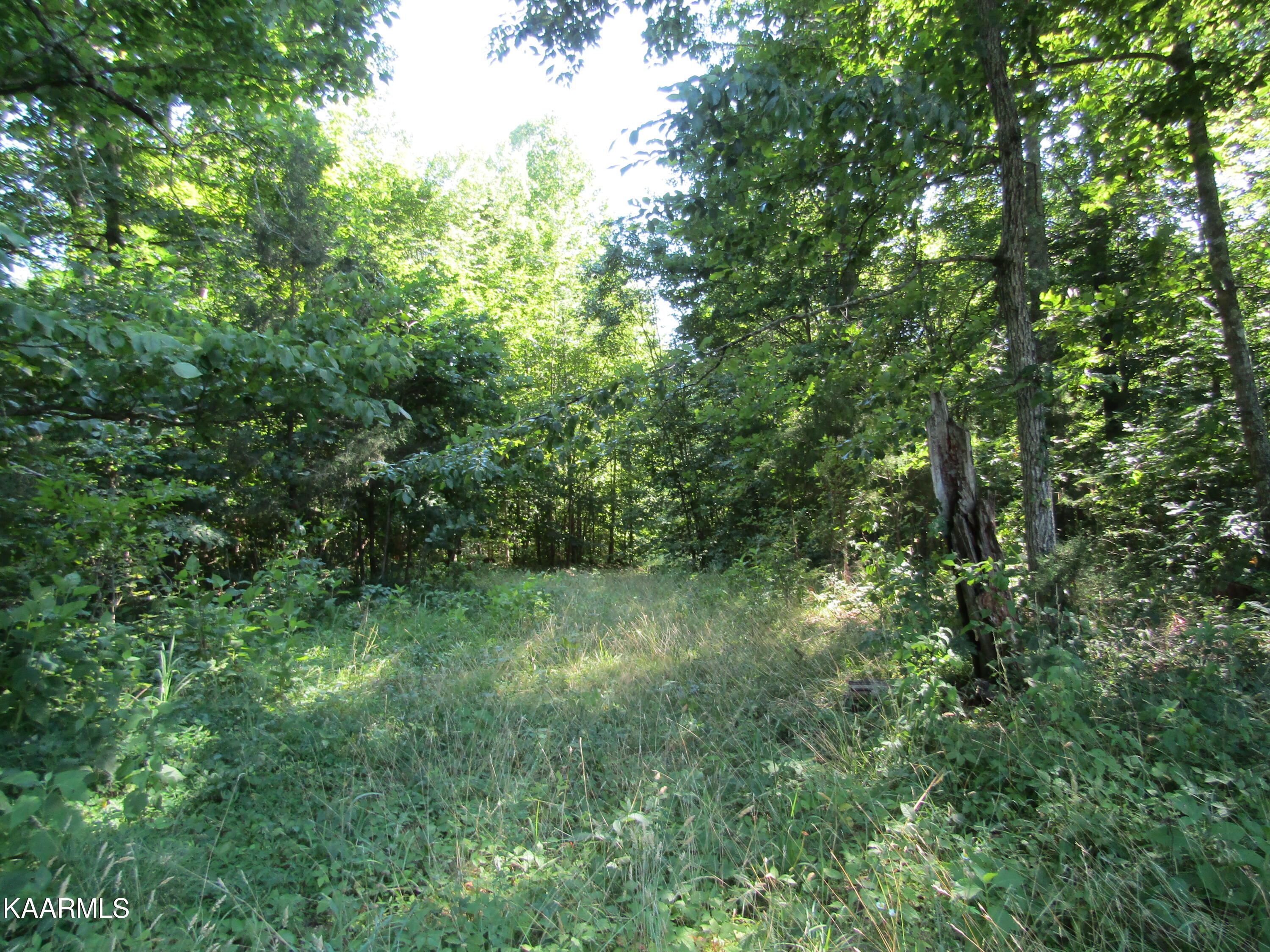 Lot 23 Arrowhead Road, Unit RD Moss, TN 38575 - Photo 17 of 30 IMG_8076