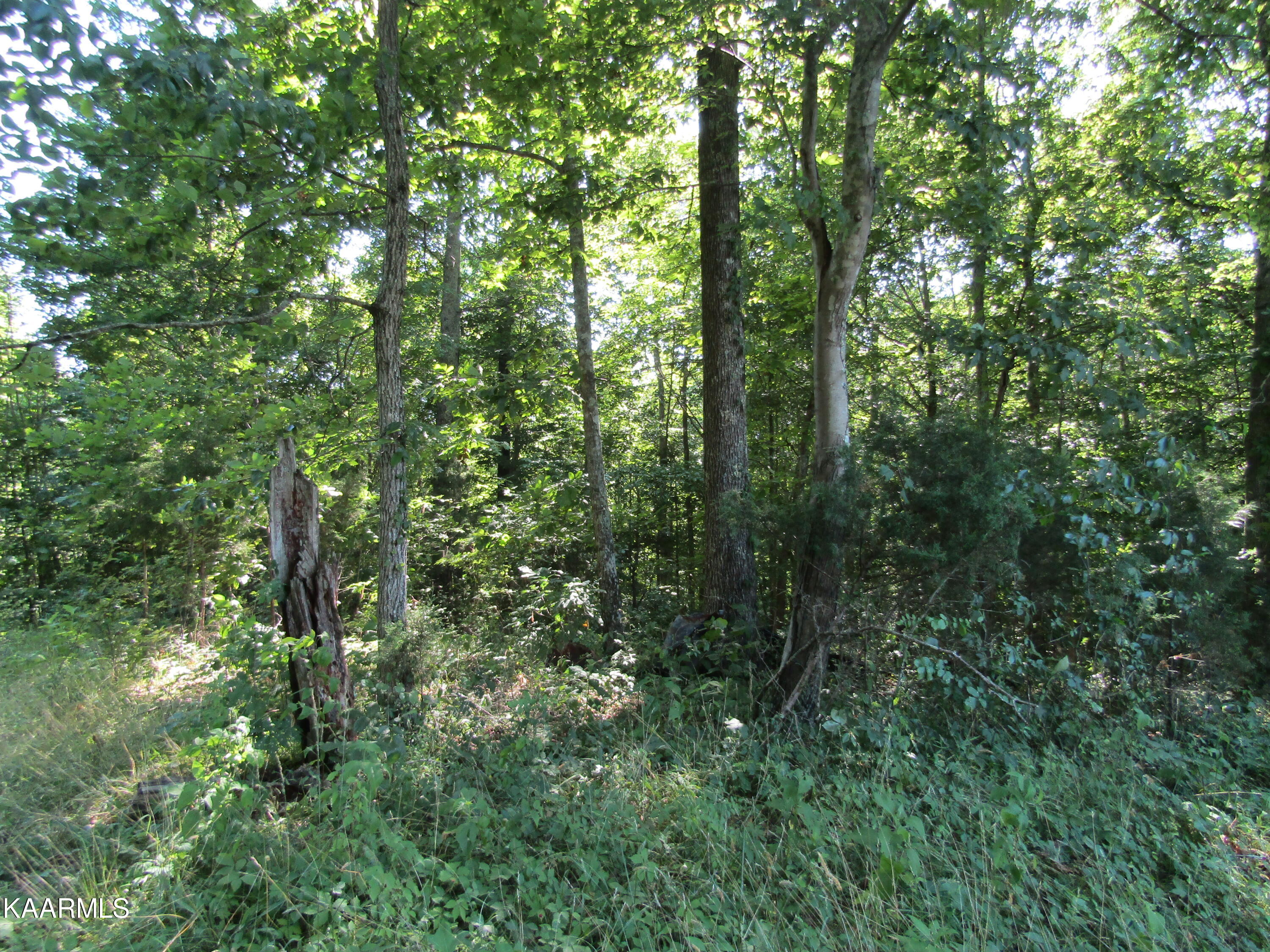 Lot 23 Arrowhead Road, Unit RD Moss, TN 38575 - Photo 18 of 30 IMG_8077