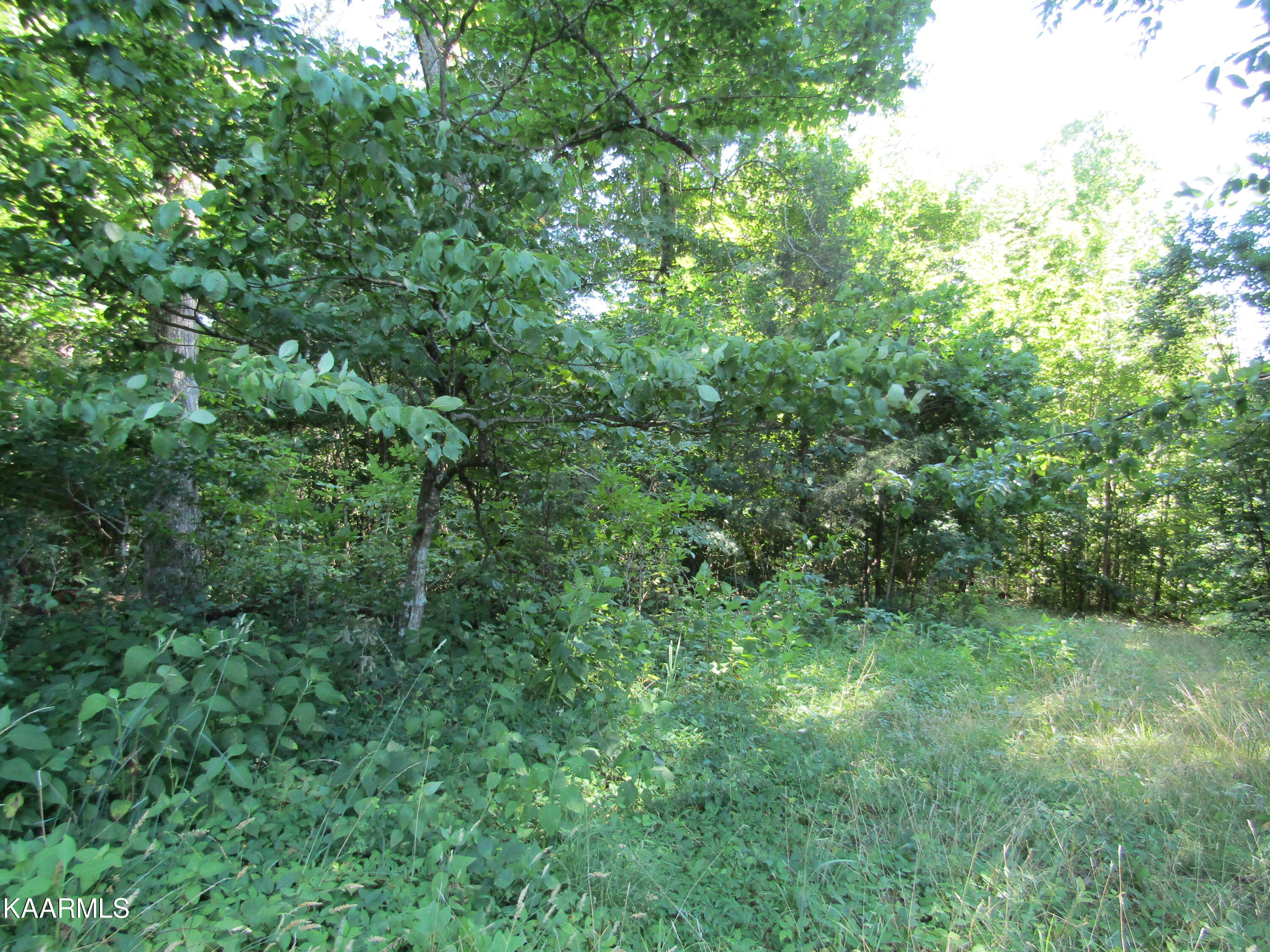 Lot 23 Arrowhead Road, Unit RD Moss, TN 38575 - Photo 19 of 30 IMG_8078