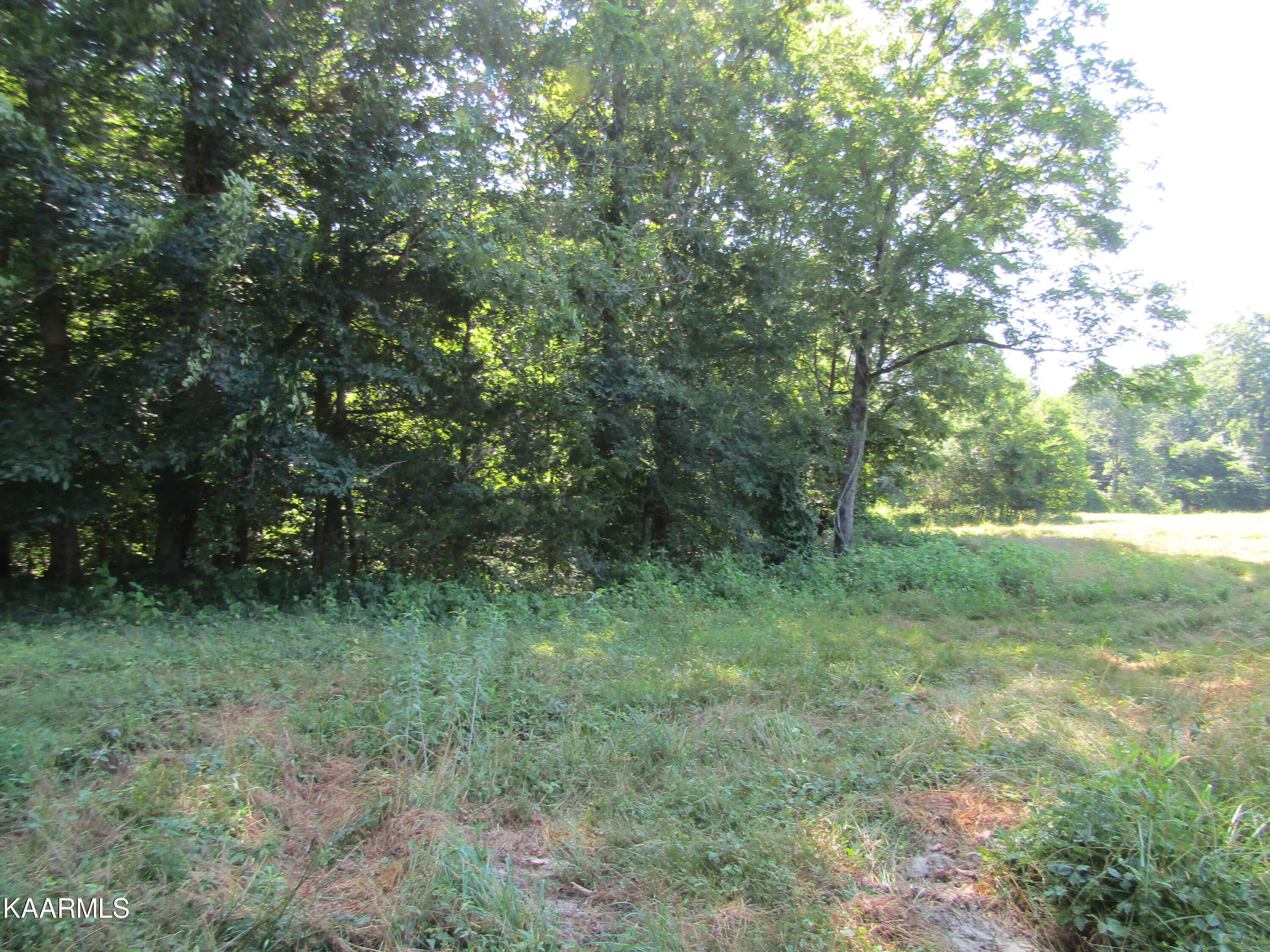 Lot 23 Arrowhead Road, Unit RD Moss, TN 38575 - Photo 21 of 30 IMG_8080