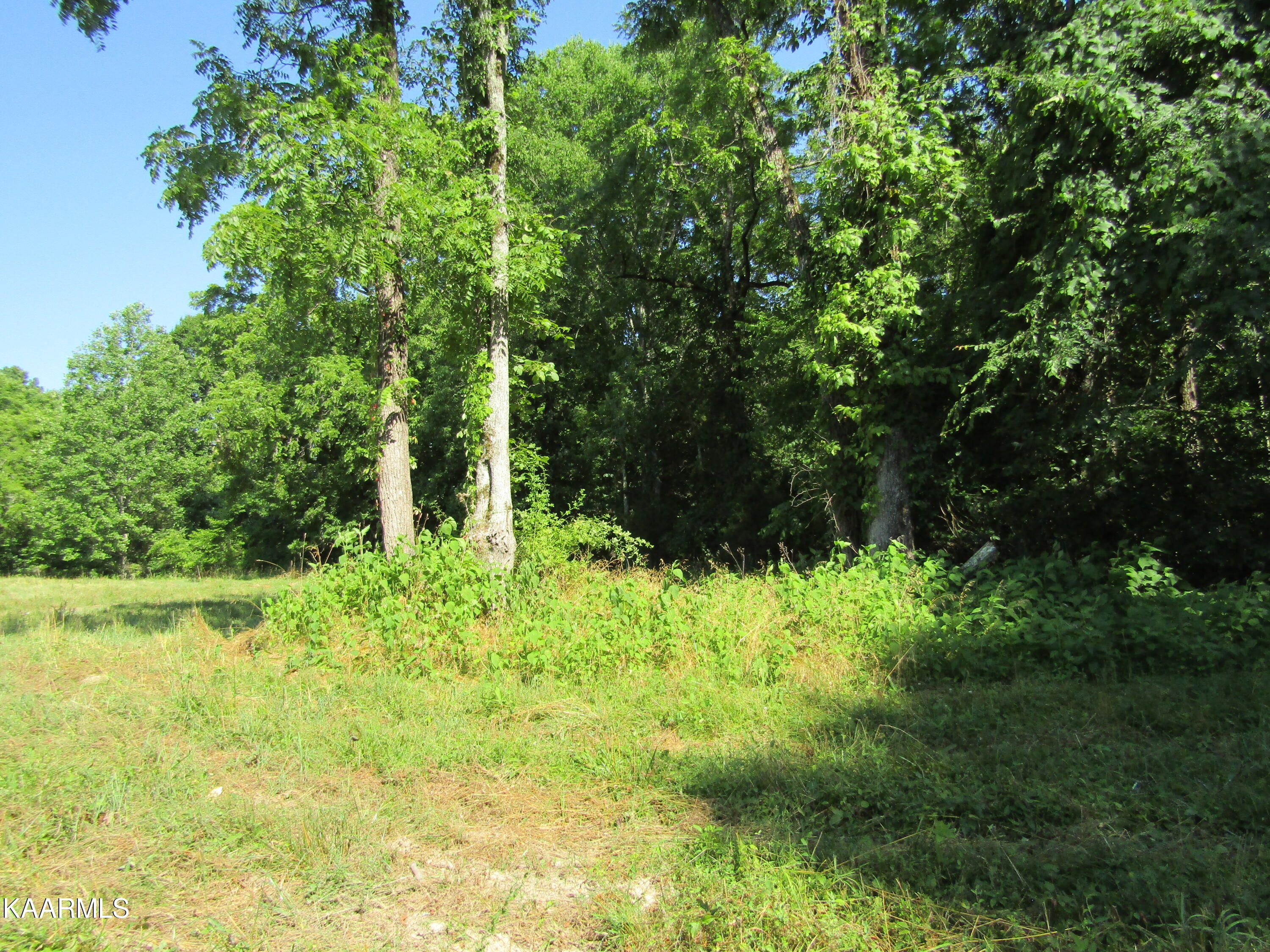Lot 23 Arrowhead Road, Unit RD Moss, TN 38575 - Photo 25 of 30 IMG_8084