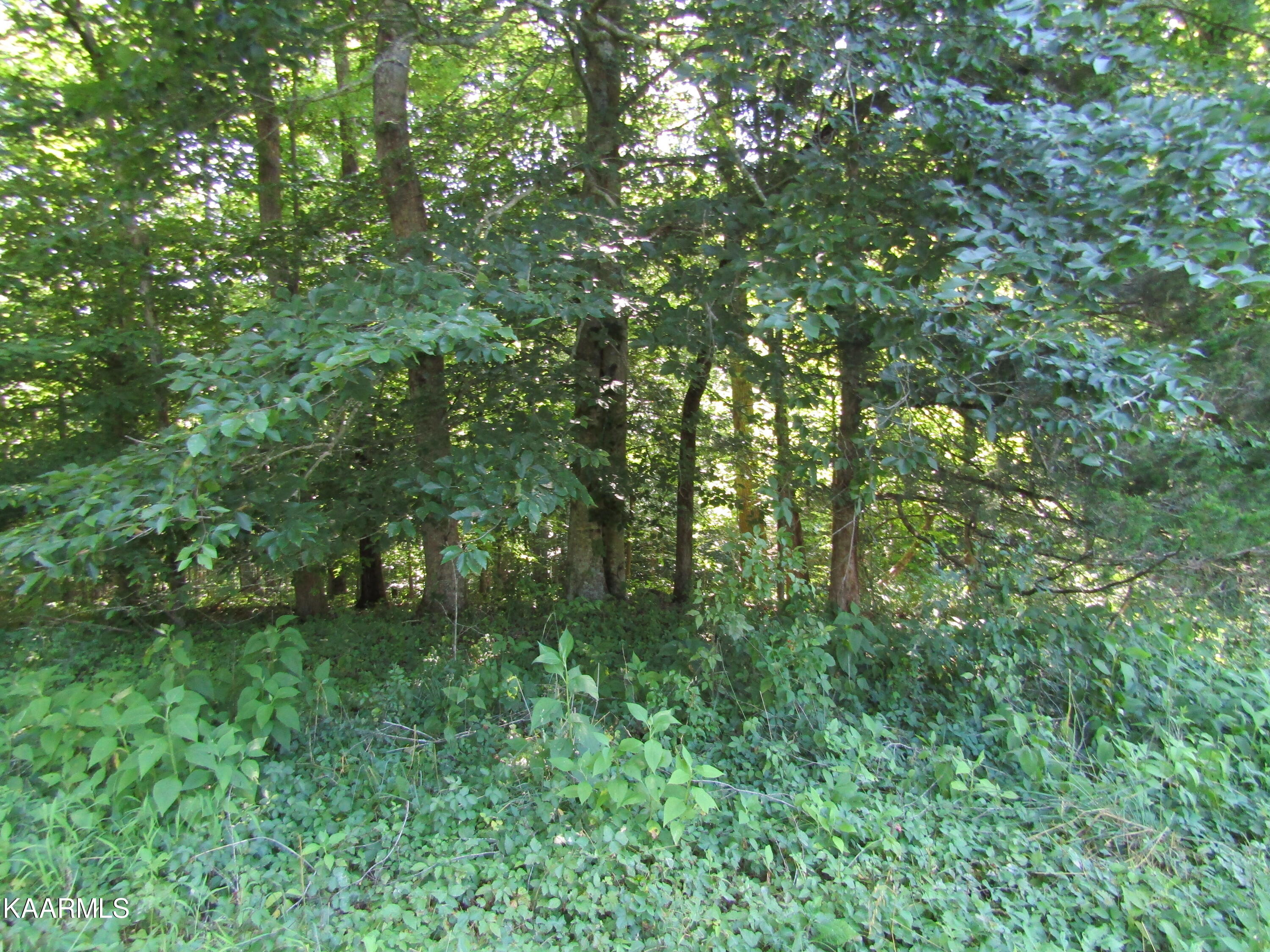 Lot 23 Arrowhead Road, Unit RD Moss, TN 38575 - Photo 26 of 30 IMG_8085