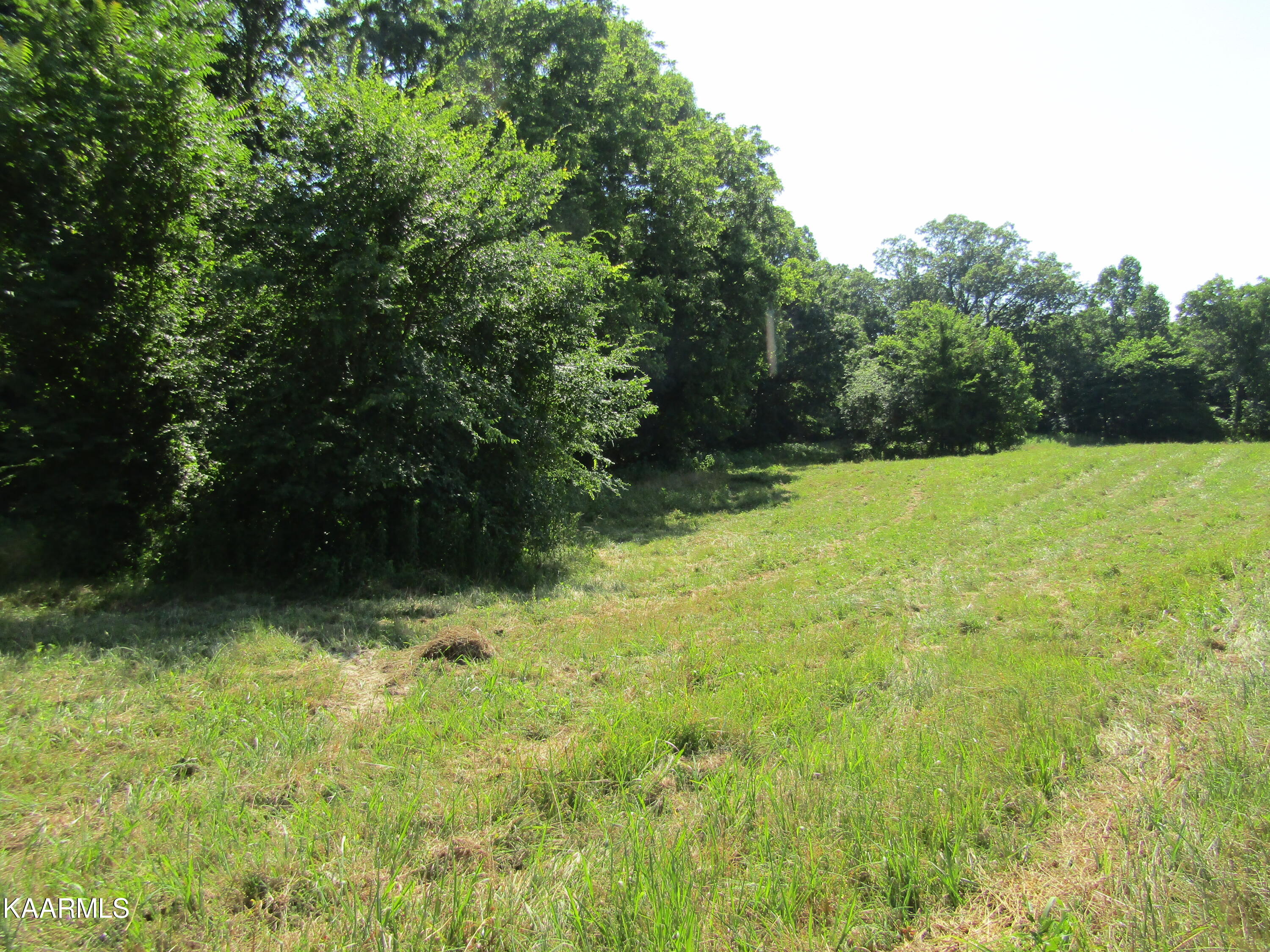 Lot 23 Arrowhead Road, Unit RD Moss, TN 38575 - Photo 27 of 30 IMG_8086