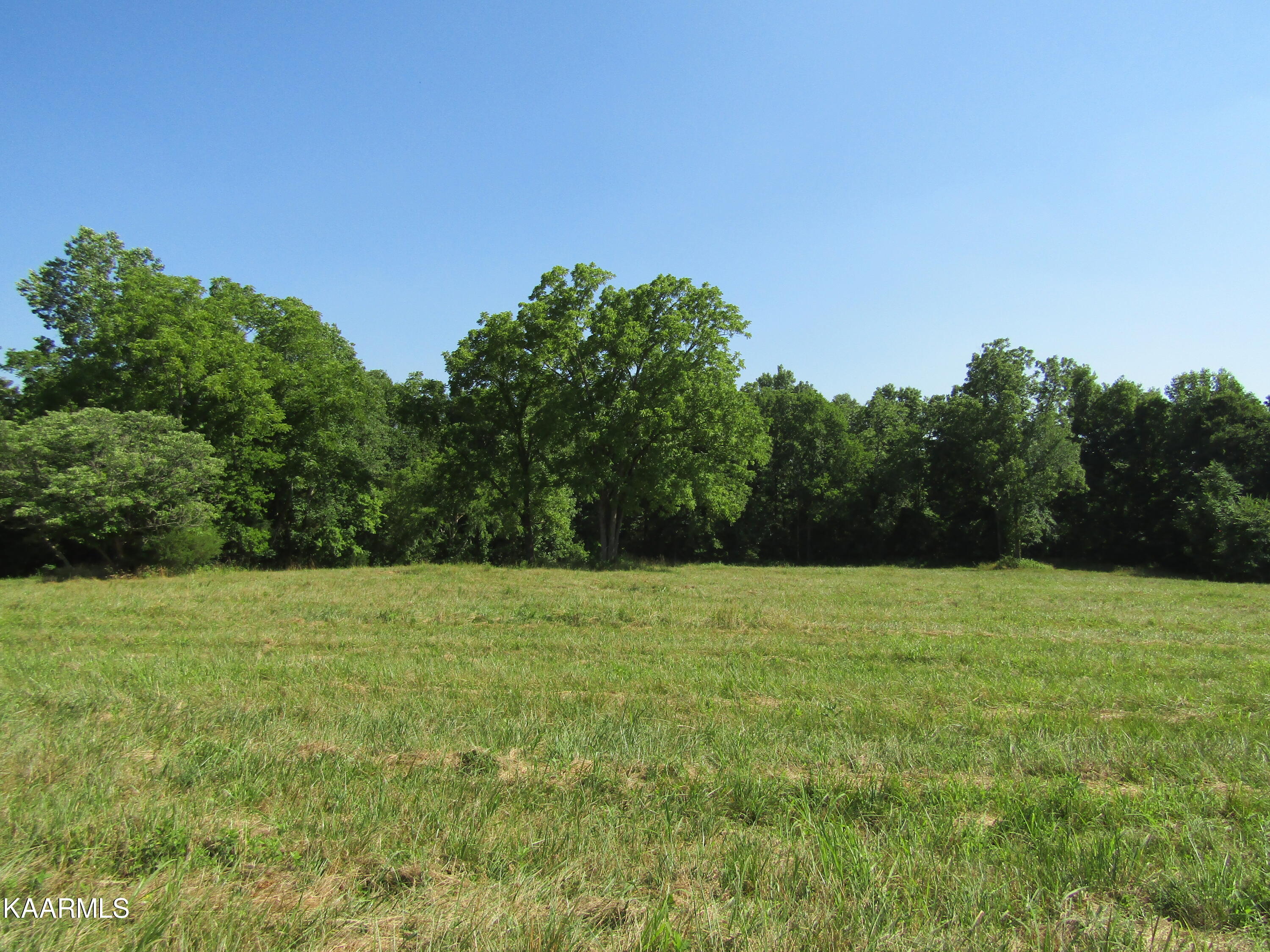 Lot 23 Arrowhead Road, Unit RD Moss, TN 38575 - Photo 4 of 30 IMG_8062