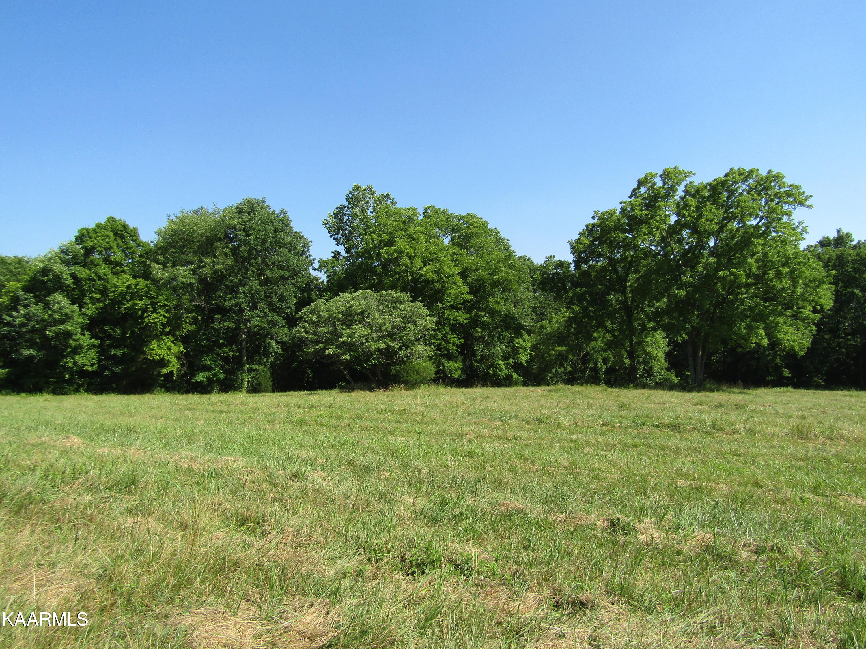 Lot 23 Arrowhead Road, Unit RD Moss, TN 38575 - Photo 5 of 30 IMG_8063