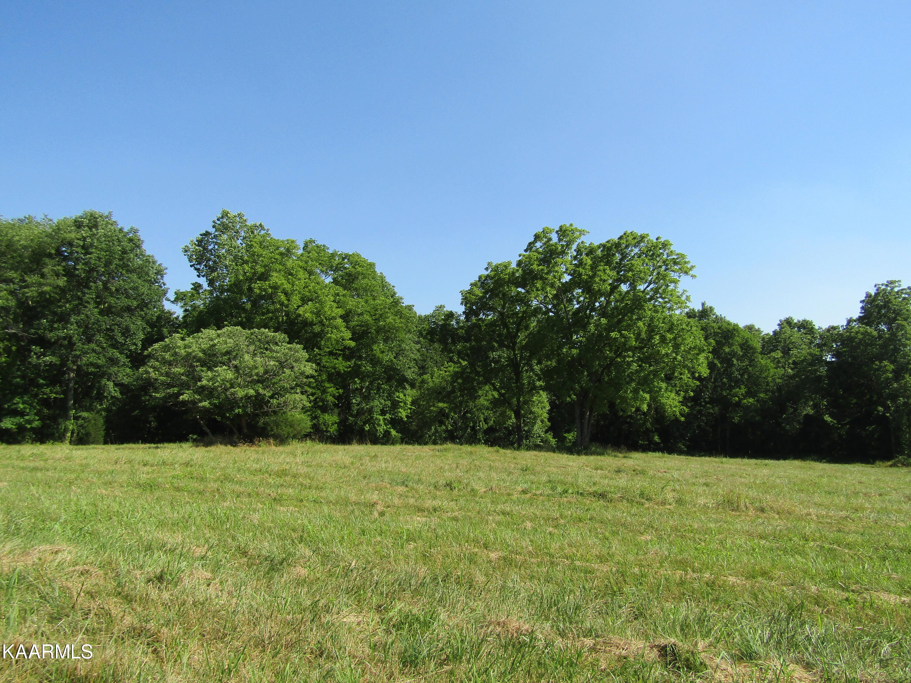 Lot 23 Arrowhead Road, Unit RD Moss, TN 38575 - Photo 7 of 30 IMG_8065