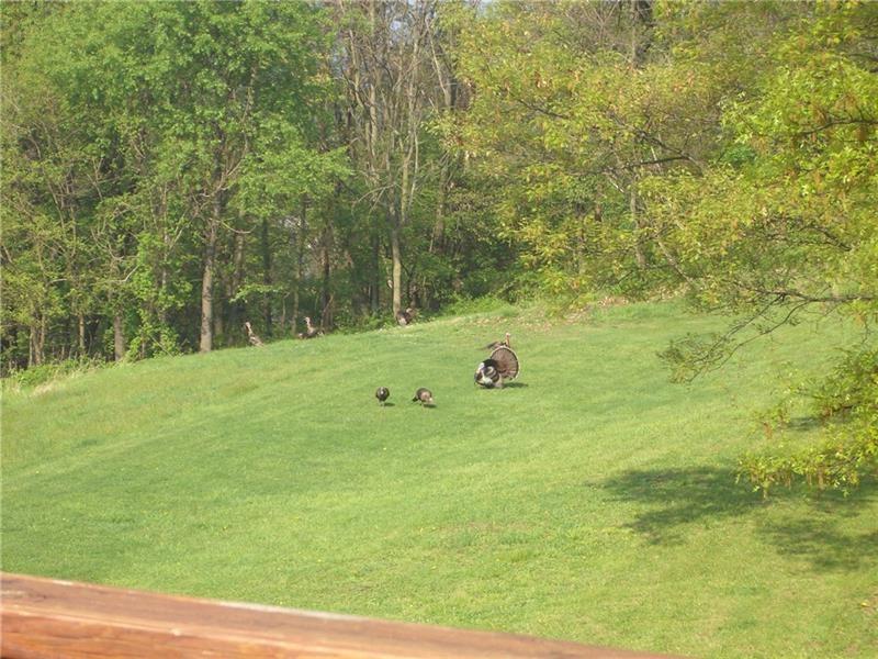 609 Sycamore Rd Extension Sewickley, PA 15143 - Photo 2 of 21 Nature at its best.