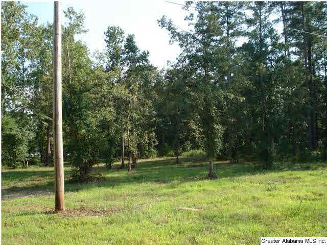Armstrong Road, Unit 4 Cedar Bluff, AL 35959 - Photo 5 of 7