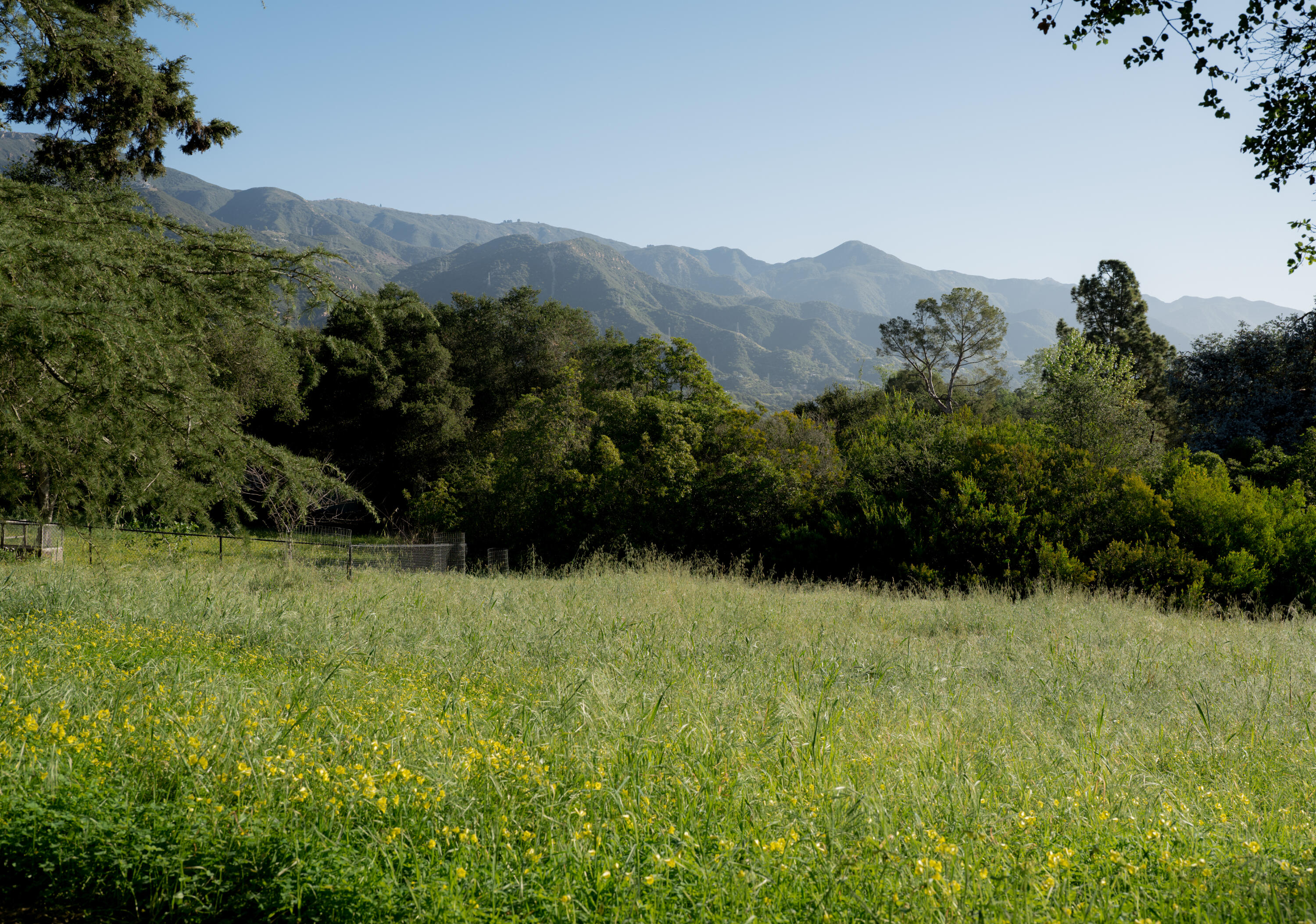 1512 Hillcrest Road Santa Barbara, CA 93103 - Photo 49 of 53 Meadow