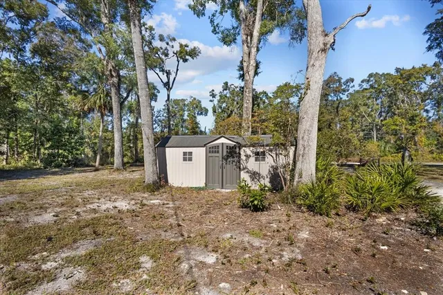 a white house that has a tree in front of it
