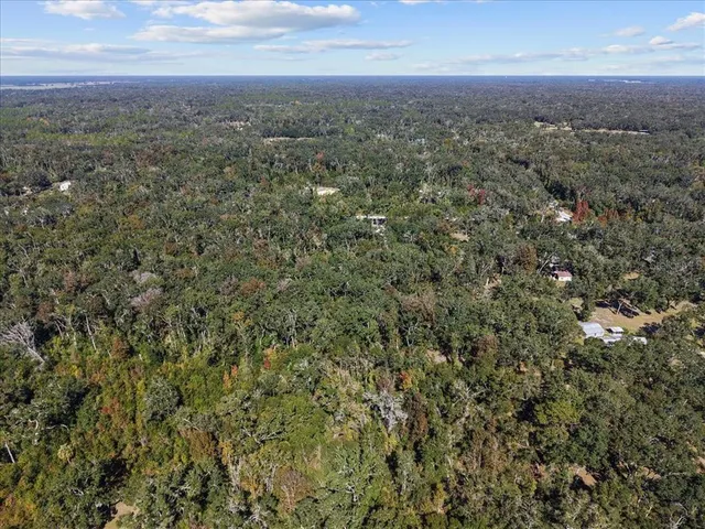 an aerial view of residential houses with outdoor space and trees