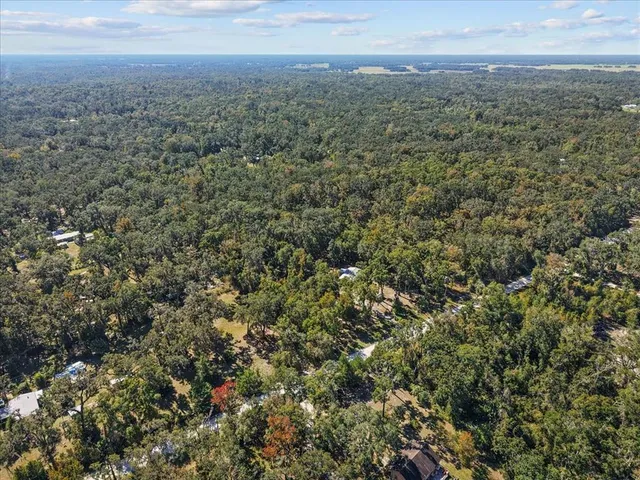 a view of a big yard with lots of bushes