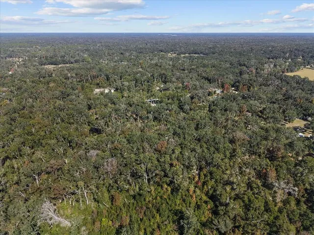 an aerial view of forest