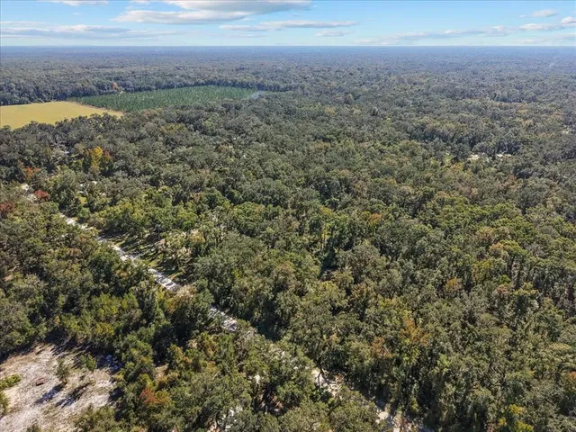 a view of a field with an ocean