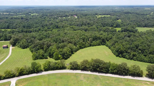 an aerial view of a house with a yard and lake view