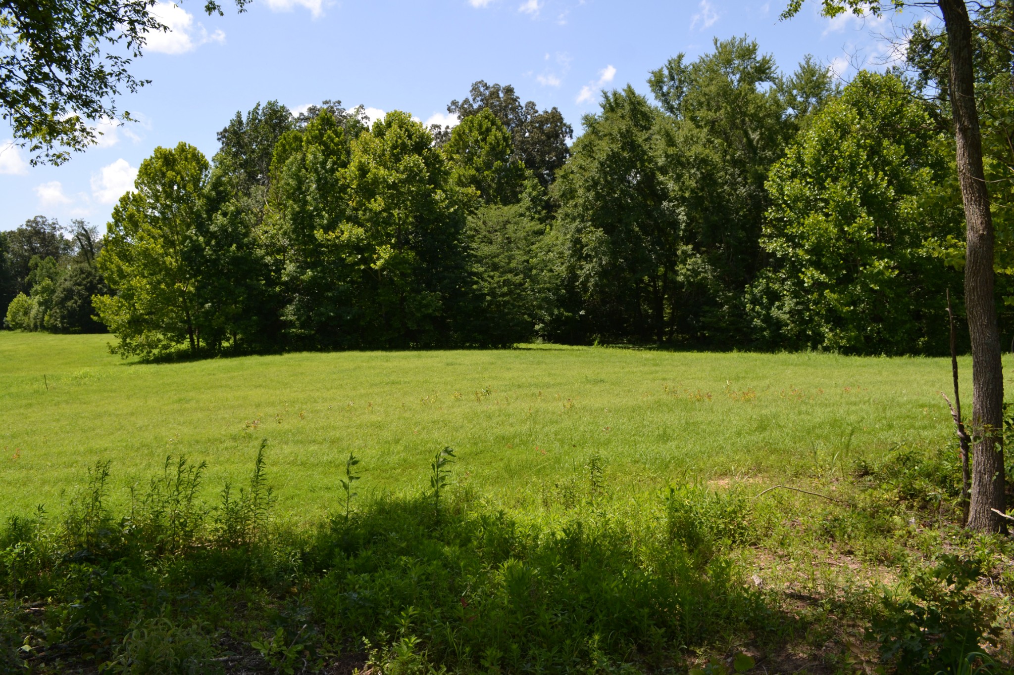 14 Hayes Ridge Road Indian Mound, TN 37079 - Photo 11 of 11 a view of an outdoor space and a yard