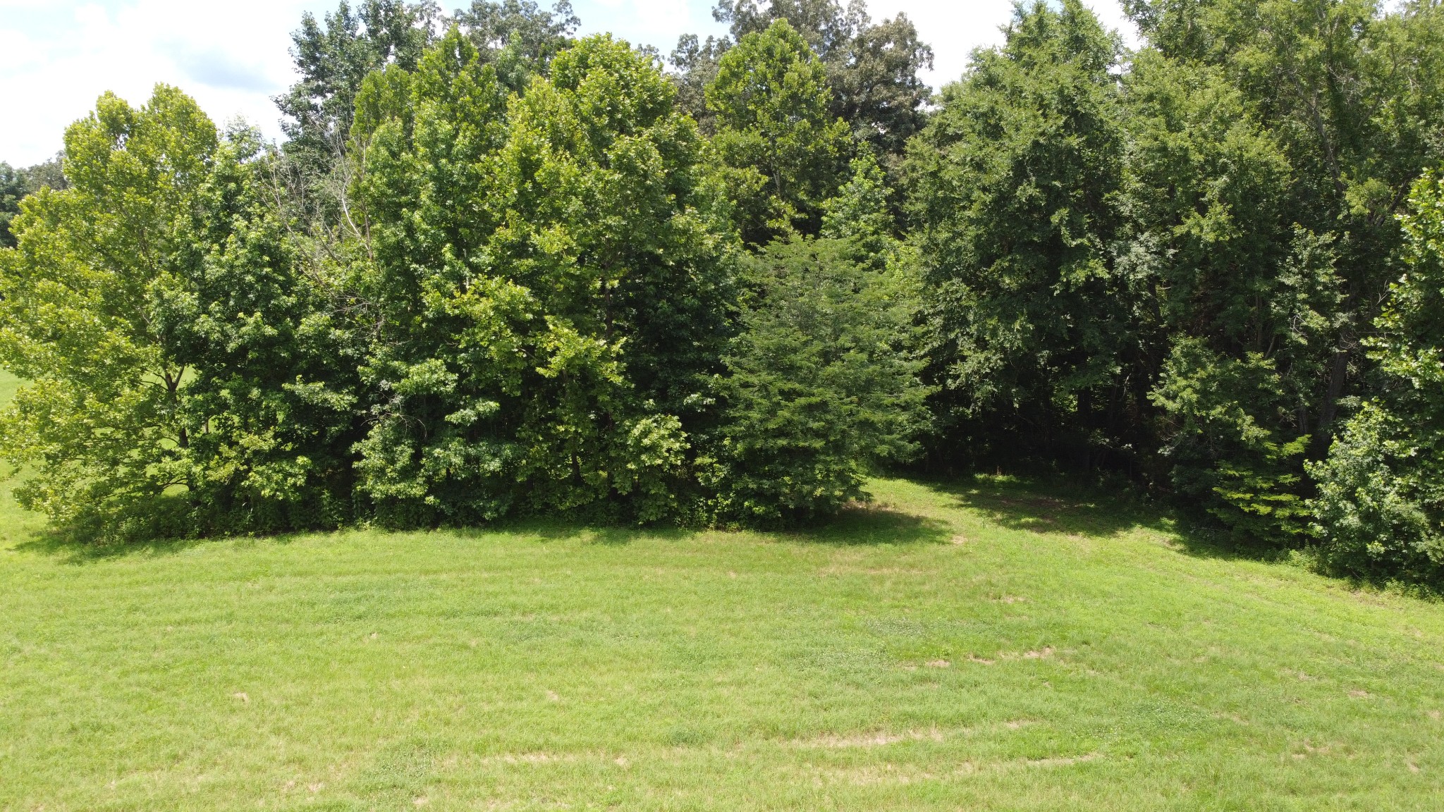 14 Hayes Ridge Road Indian Mound, TN 37079 - Photo 5 of 11 a view of yard with green space