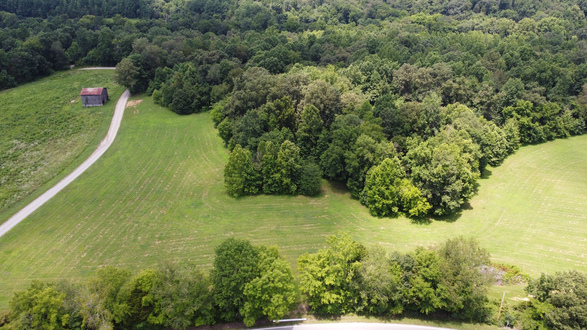 14 Hayes Ridge Road Indian Mound, TN 37079 - Photo 6 of 11 a view of a yard with a fountain