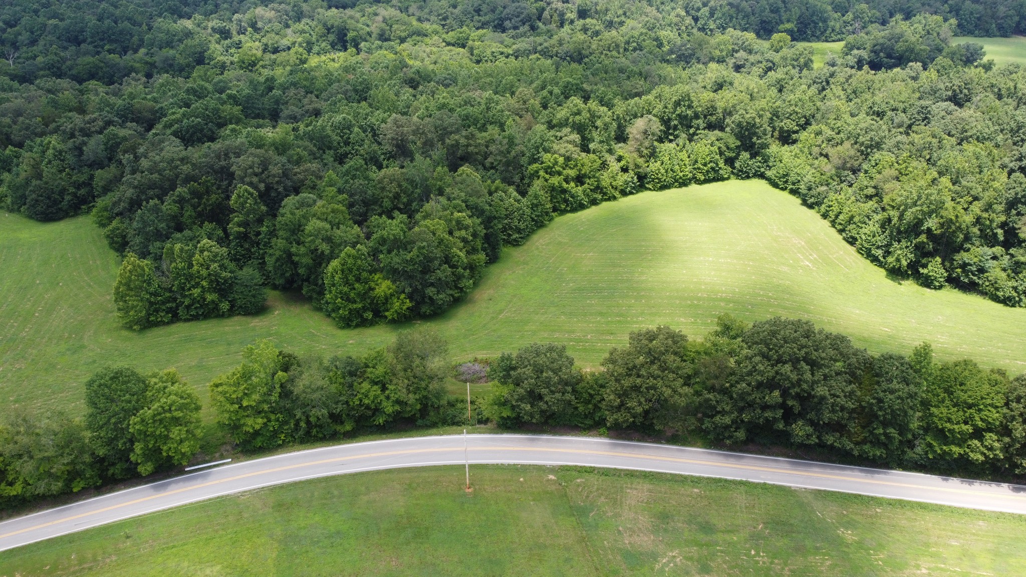 14 Hayes Ridge Road Indian Mound, TN 37079 - Photo 7 of 11 a view of a swimming pool with a yard