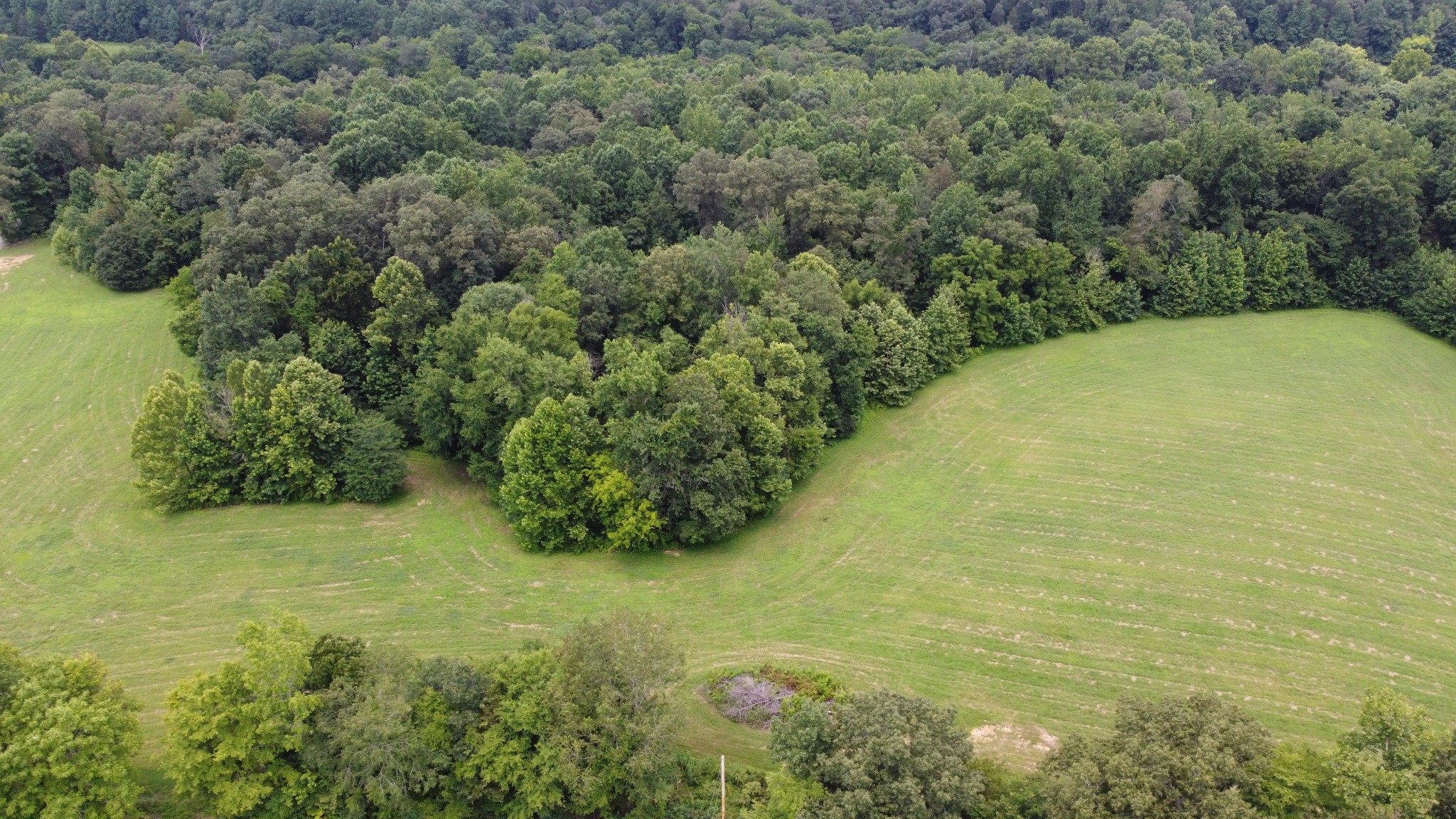 14 Hayes Ridge Road Indian Mound, TN 37079 - Photo 8 of 11 a view of a field with an outdoor space