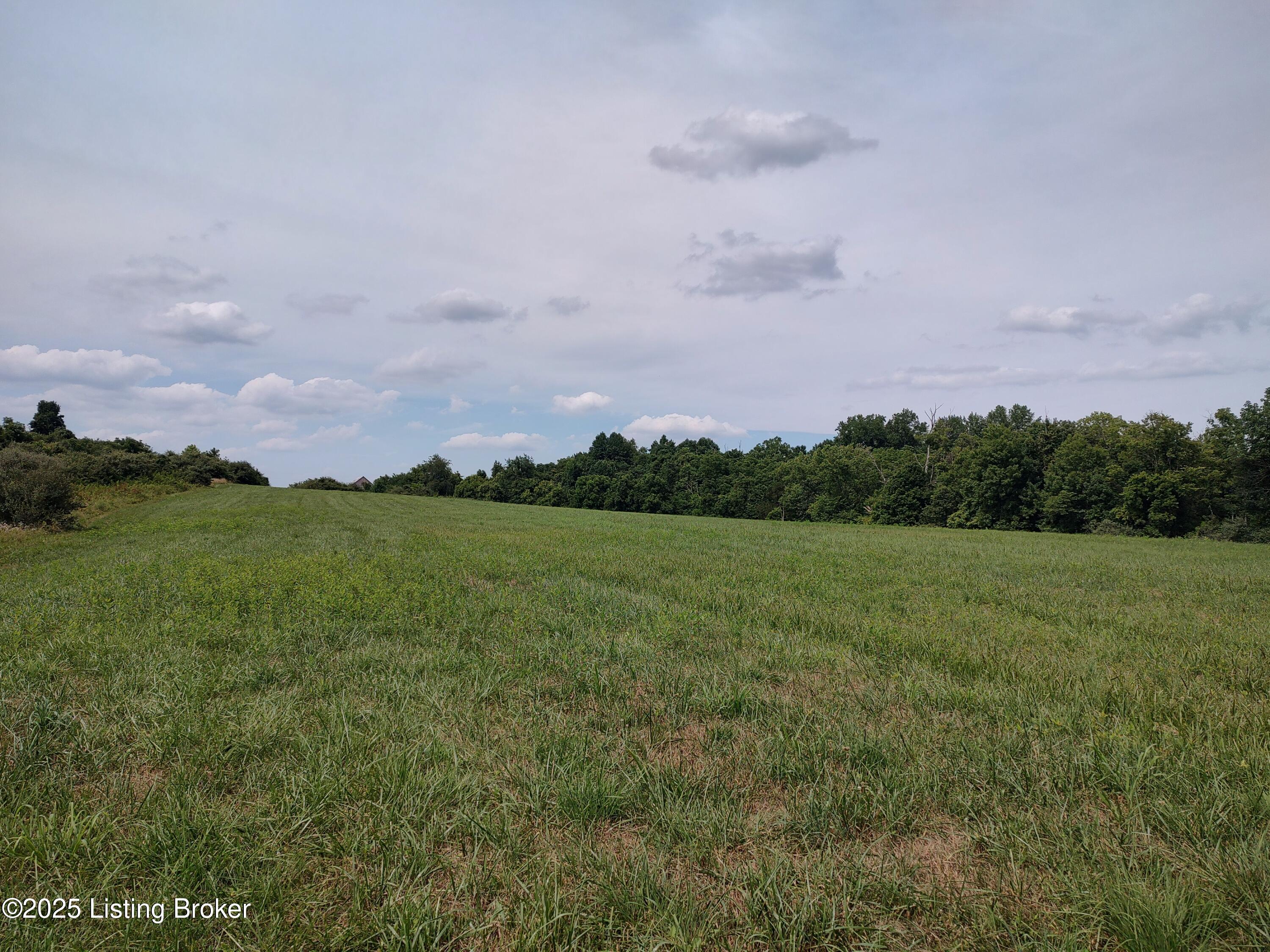 9160 East Tate Ridge Road Madison, IN 47250 - Photo 5 of 18 5