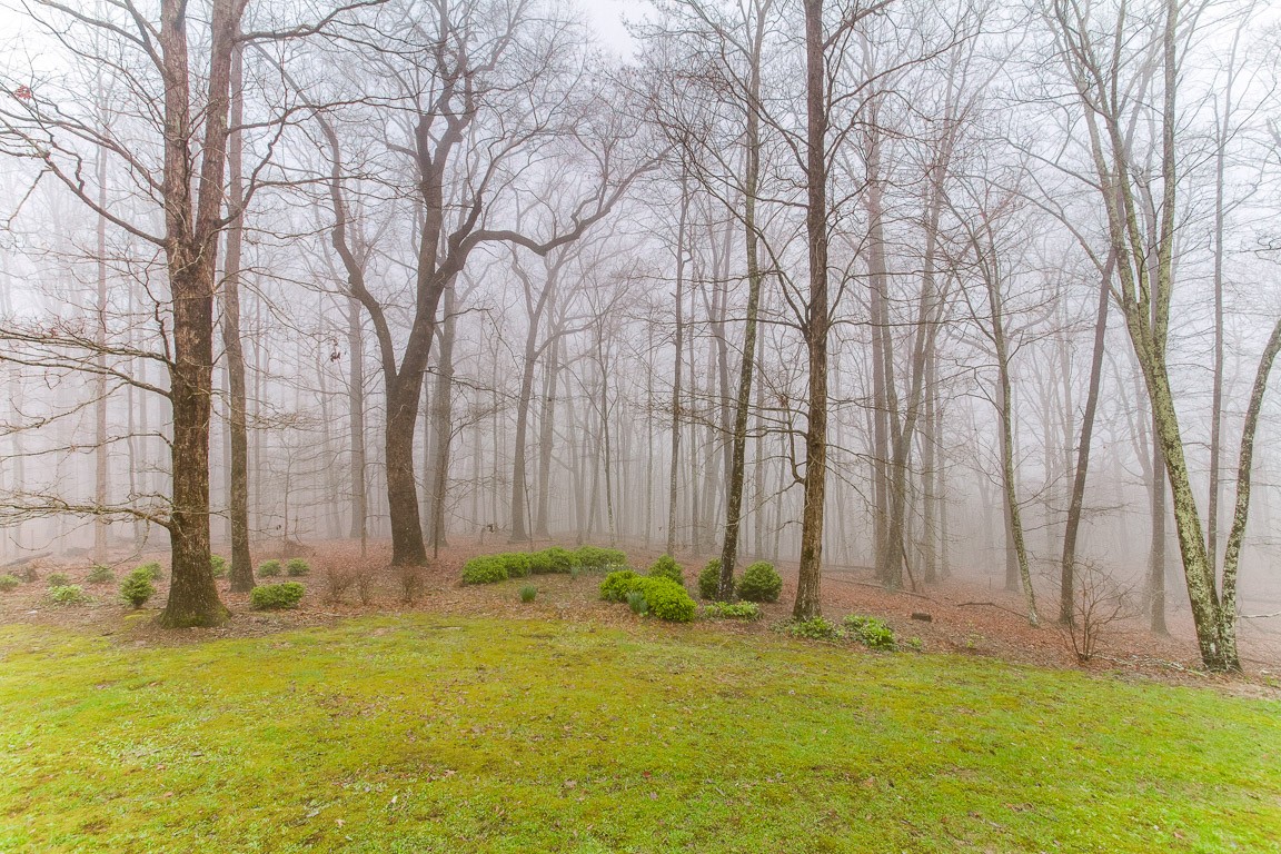 1033 Eva Lake Road Sewanee, TN 37375 - Photo 48 of 49 a view of backyard with fountain
