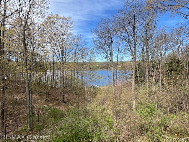 5091 West Kinney Road Ludington, MI 49431 - Photo 29 of 36 Gallery Image 29