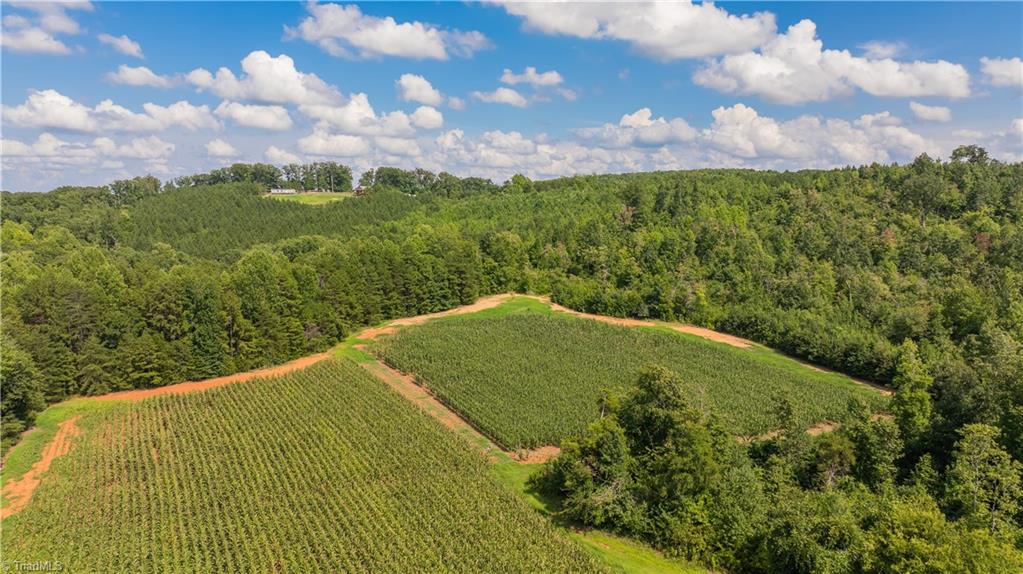 467 Crousetown Road Lexington, NC 27292 - Photo 15 of 19 Gallery Image 15