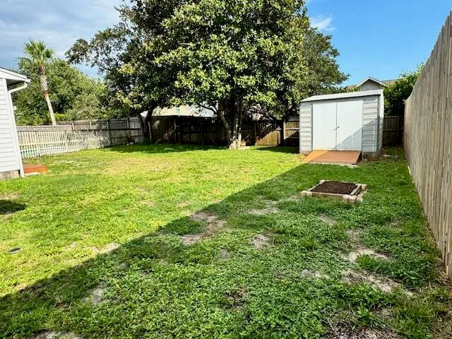 a backyard of a house with plants and tree
