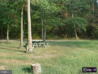 18200 Hecht Road Henderson, MD 21640 - Photo 4 of 4 Gallery Image 4