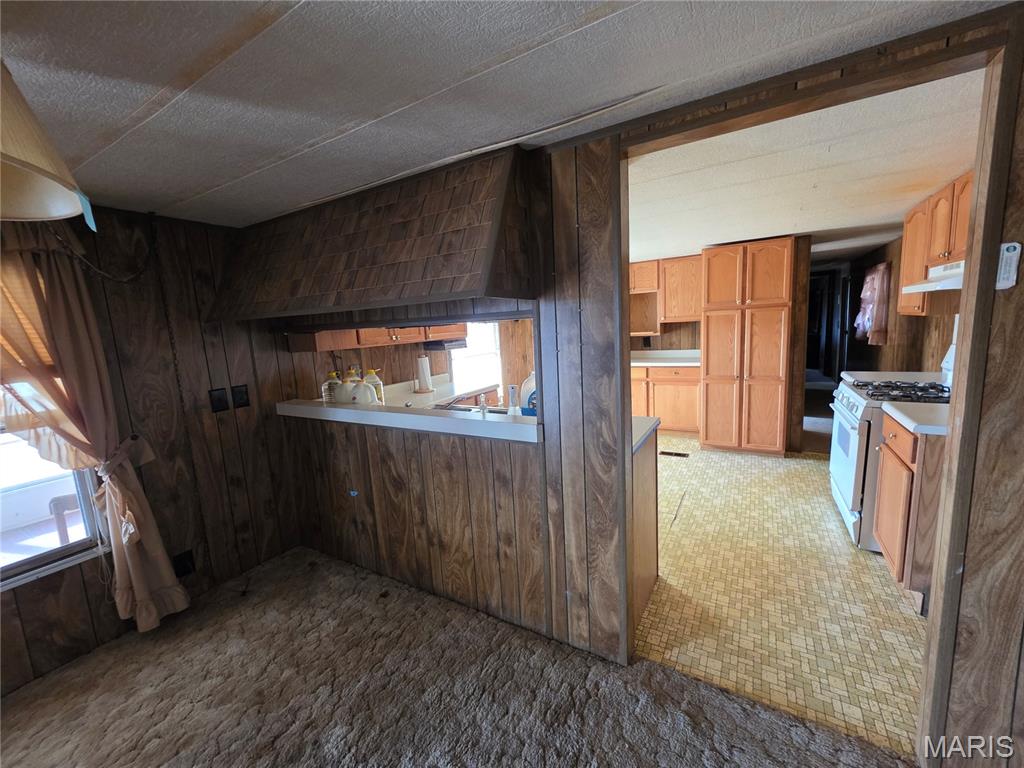 15305 Texas Road St. Robert, MO 65584 - Photo 35 of 50 Gallery Image 35