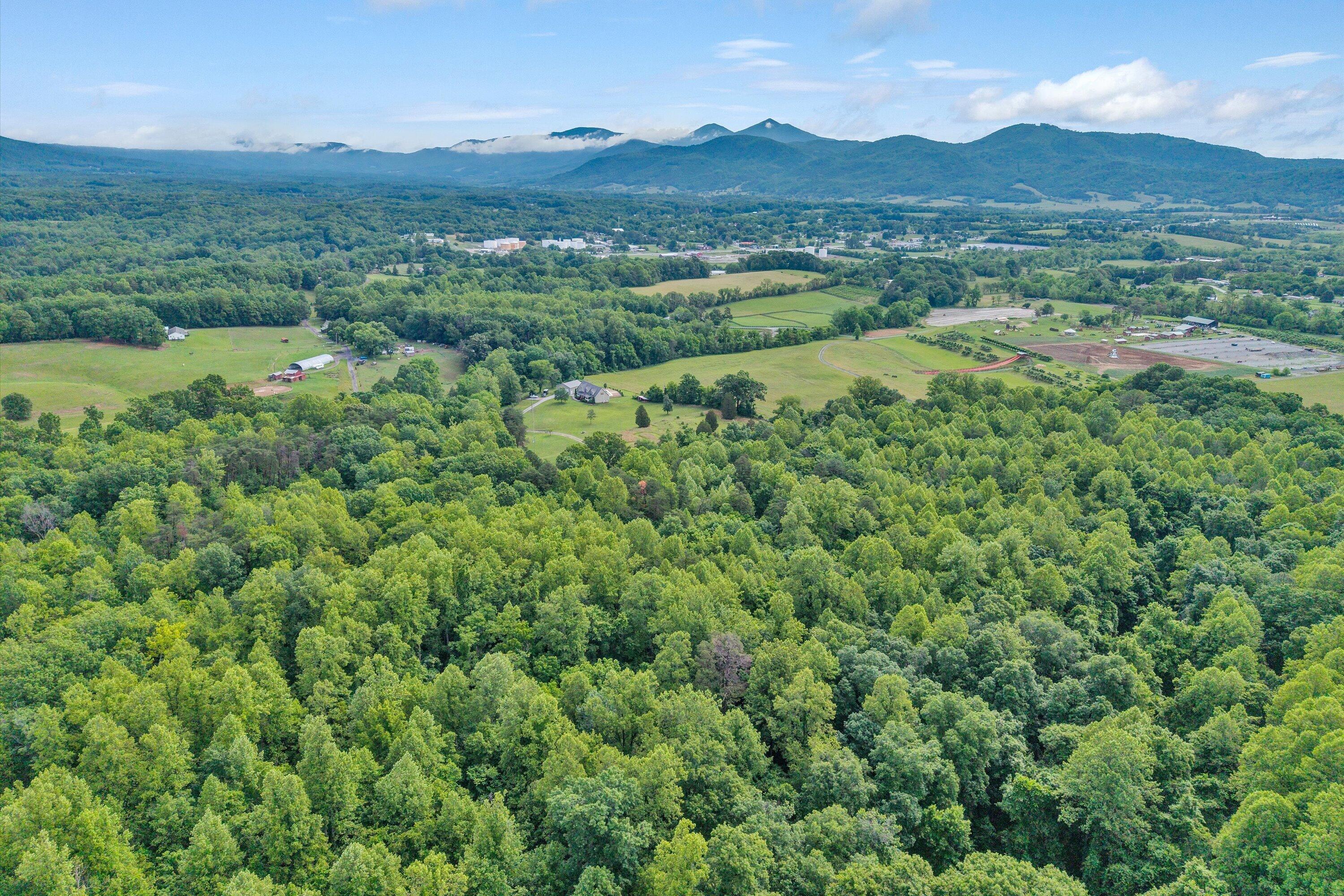 1550 Vernon Lane Blue Ridge, VA 24064 - Photo 4 of 45 04-SGP-20260527094829